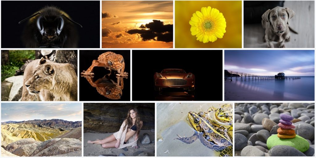images et vidéos gratuites