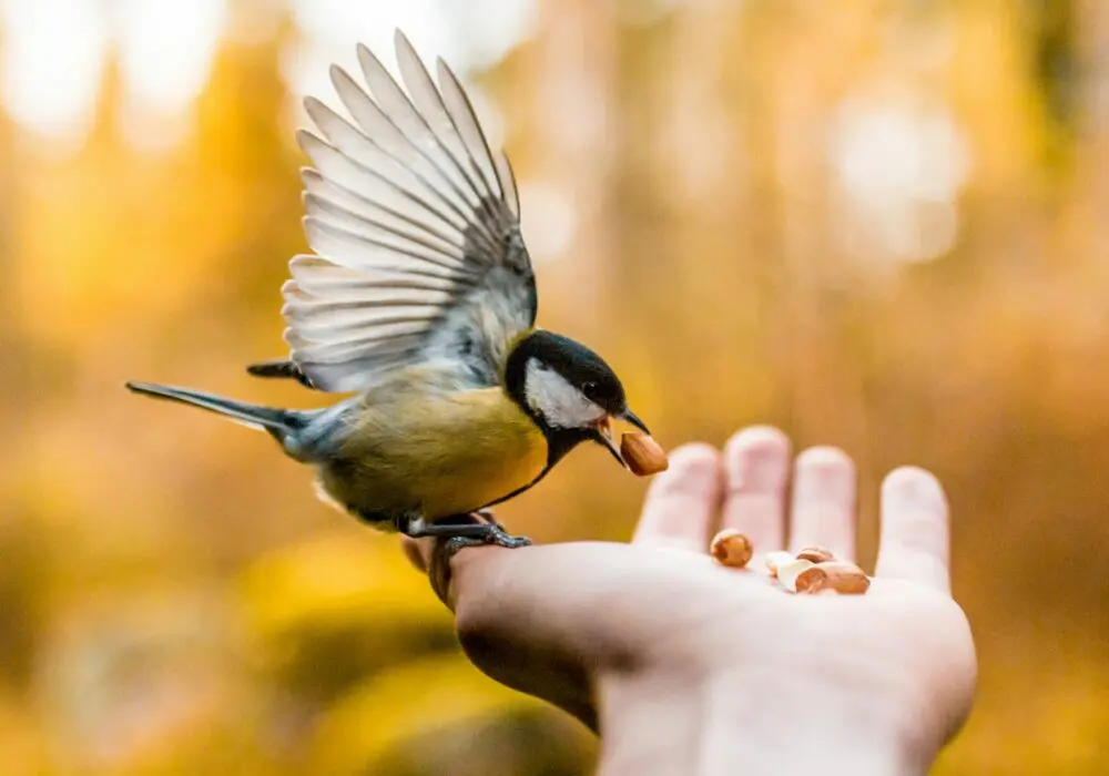 Les meilleurs sites de photos gratuites et libres de droits