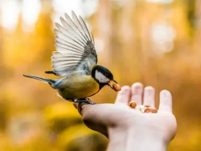 Les meilleurs sites de photos gratuites et libres de droits