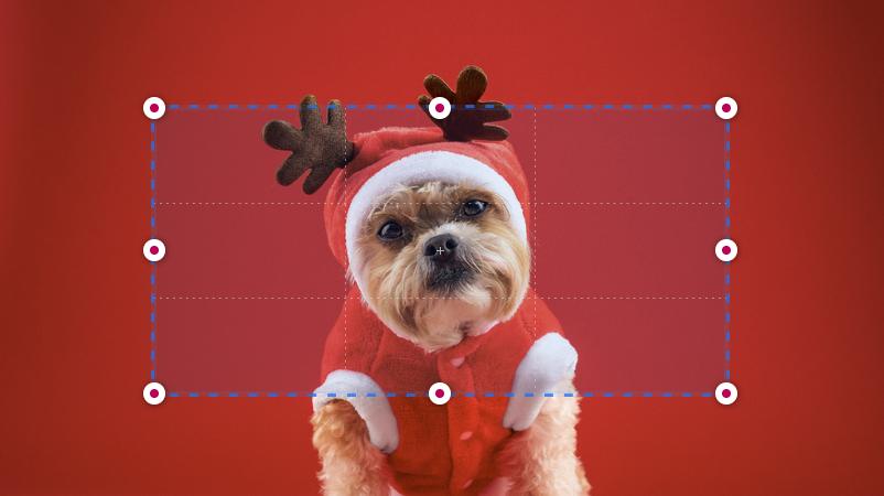 bixKit, un outil en ligne gratuit pour redimensionner, convertir et recadrer des images pour les réseaux sociaux et sites web.